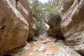 Avakas Gorge (Faraggi tou Avaka), Paphos, Cyprus