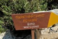 Baths of Aphrodite bird watching