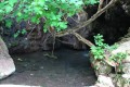 Baths of Aphrodite, Paphos, Cyprus