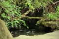 Baths of Aphrodite, Paphos, Cyprus