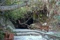 Baths of Aphrodite, Paphos, Cyprus
