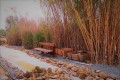Athalassa Botanical Garden, Nicosia, Cyprus