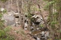 caledonia nature trail