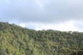 Cedar Valley (Koilada ton Kedron), Paphos, Cyprus