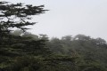 Cedar Valley (Koilada ton Kedron), Paphos, Cyprus