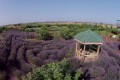 cyherbia lavender cyprus