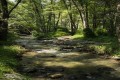 Diarizos River, Paphos, Cyprus