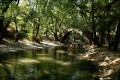 Diarizos River, Paphos, Cyprus