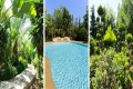 Eleouthkia Park - Anarita, Paphos, Cyprus