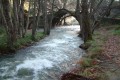Enetika Gefyria (Venetian Bridges) Nature Trail, Paphos, Cyprus