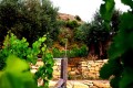 Ezousa Winery, Paphos, Cyprus