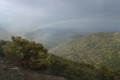 Machairas Forest, Nicosia, Cyprus