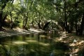 Paphos Forest, Cyprus