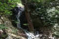 Green Valley waterfalls, Limassol, Cyprus