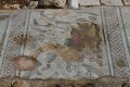 House of Orpheus, Paphos, Cyprus