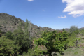 Kakopetria Forest, Nicosia, Cyprus
