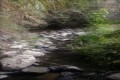 Klarios River, Nicosia, Cyprus