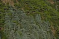 Cedar Valley (Koilada ton Kedron), Paphos, Cyprus