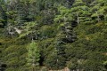 Cedar Valley (Koilada ton Kedron), Paphos, Cyprus