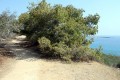 Konnoi - Agioi Anargyroi Nature trail, Famagusta, Cyprus