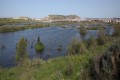 larnaca lake cyprus