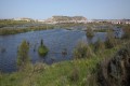 Oroklini Lake, Larnaca, Cyprus