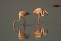 Limassol Salt Lake, Cyprus