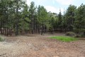Machairas Forest, Nicosia, Cyprus