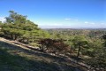 Machairas Forest, Nicosia, Cyprus