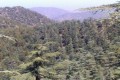 Machairas National Forest Park, Nicosia, Cyprus