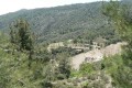 Machairas Forest, Nicosia, Cyprus