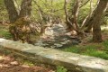 milia medieval bridge cyprus