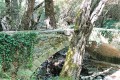 Milia Medieval Bridge - Platres, Limassol, Cyprus