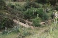 Pipis Nature Trail, Larnaca, Cyprus