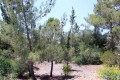 Park of Nations - Agios Georgios Nature Trail, Nicosia, Cyprus