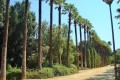 Nicosia Municipal Gardens, Cyprus