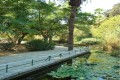 Nicosia Municipal Gardens, Cyprus