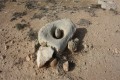 nissia neolithic settlment cyprus