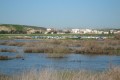 Oroklini Lake, Larnaca, Cyprus