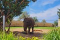 Paphos Zoo, Cyprus