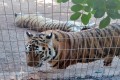 Paphos Zoo, Cyprus
