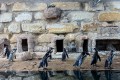 Paphos Zoo, Cyprus