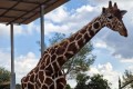 Paphos Zoo, Cyprus