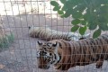 Paphos Zoo, Cyprus