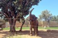 Paphos Zoo, Cyprus