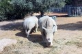 Paphos Zoo, Cyprus