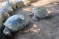 Paphos Zoo, Cyprus