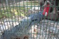 Paphos Zoo, Cyprus