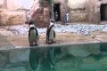 Paphos Zoo, Cyprus