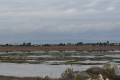 Paralimni Lake, Famagusta, Cyprus